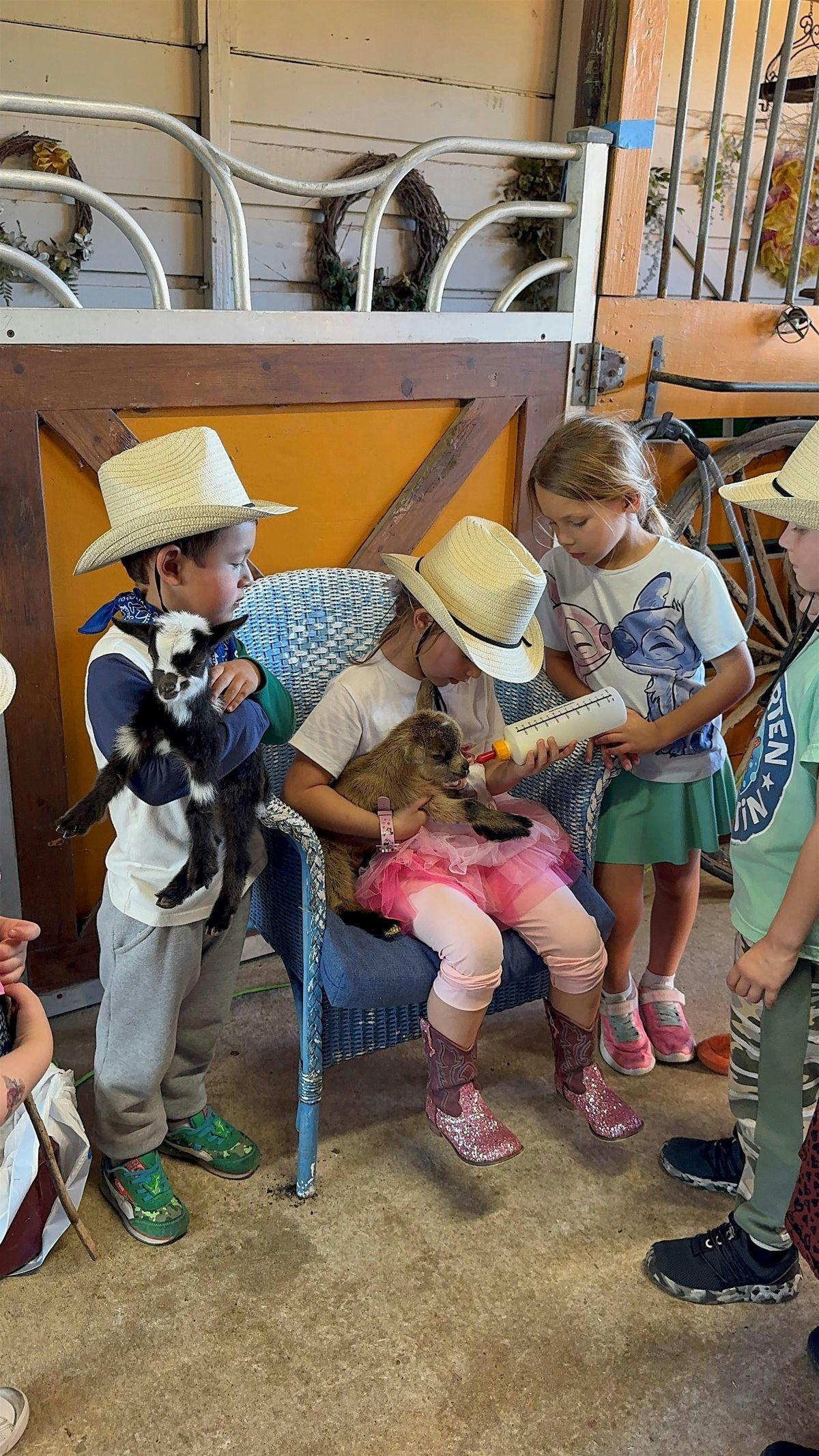 Baby Goats Snuggle, Piglets Social, Farm Animals Feeding, Ranch Tours | Event in Loxahatchee | AllEvents