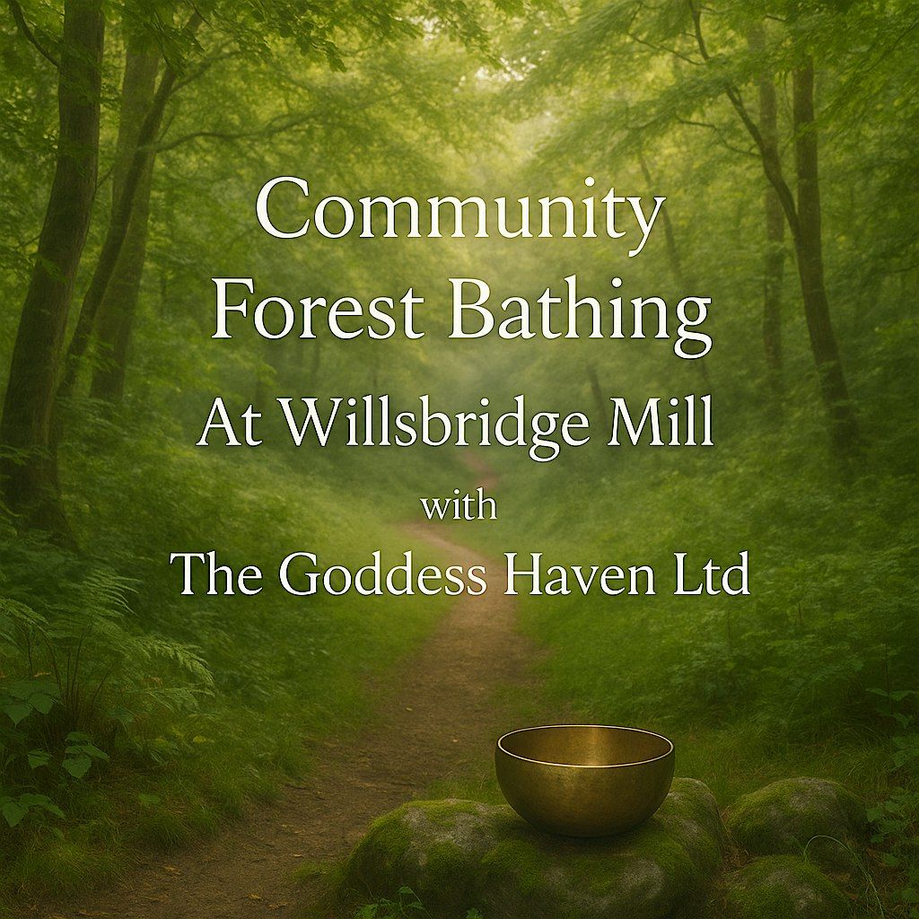 Community Forest Bathing | Event in Bristol | AllEvents