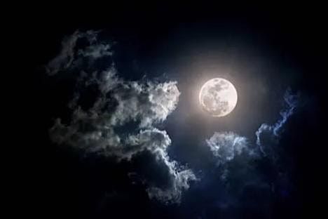 Full Moon Paint n Sip at Phoenix | Event in Victoria | AllEvents