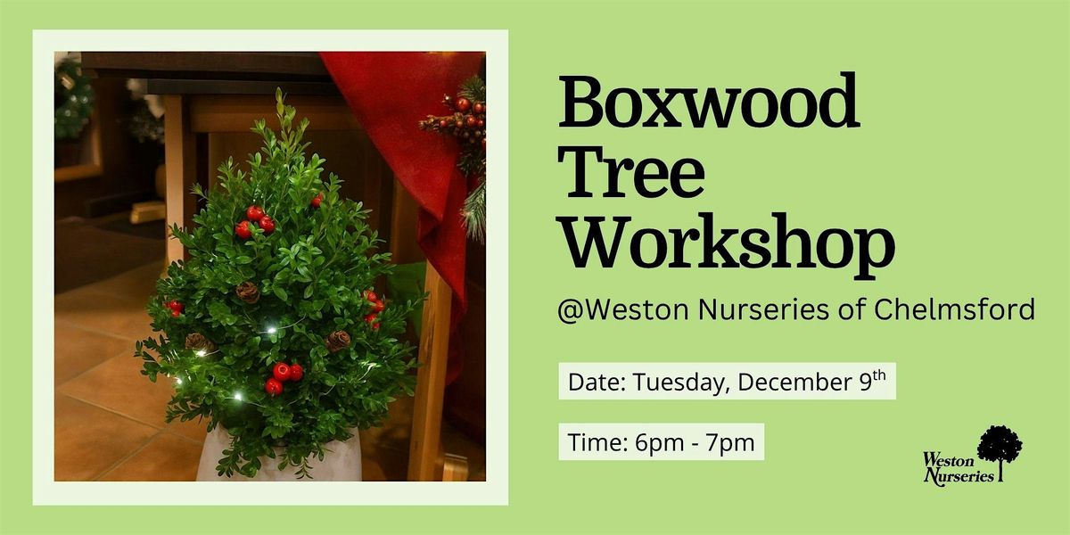 Boxwood Tree Workshop, 9 December | Event in Chelmsford | AllEvents