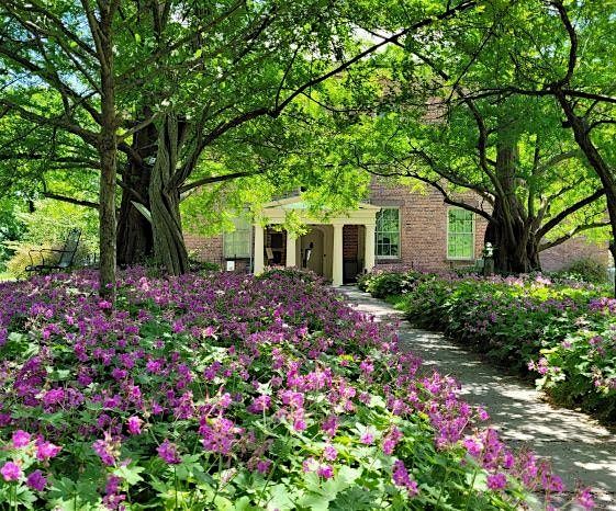 Native Plants, Invasive Species & Solutions at the Ten Broeck Mansion, 19 July | Event in Albany | AllEvents