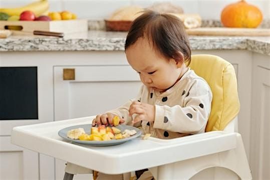 Introducing Solids Workshop (Wed 3rd Dec 2025)  10.00 - 11.30 AM, 3 December | Event in Newport | AllEvents
