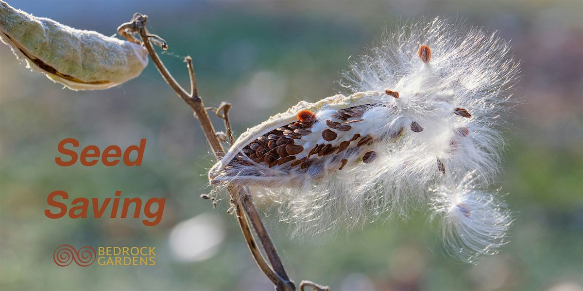 Seed Saving and Nature Collections, 11 October | Event in Lee | AllEvents