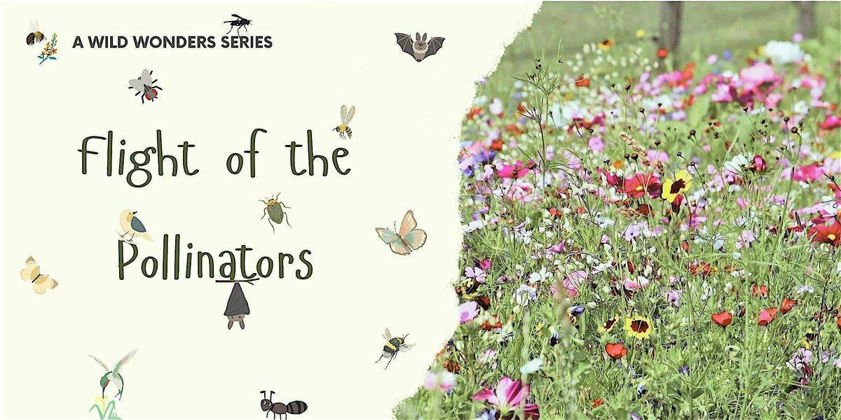 Wild Wonders: Flight of the Pollinators, 3 August | Event in Raleigh | AllEvents