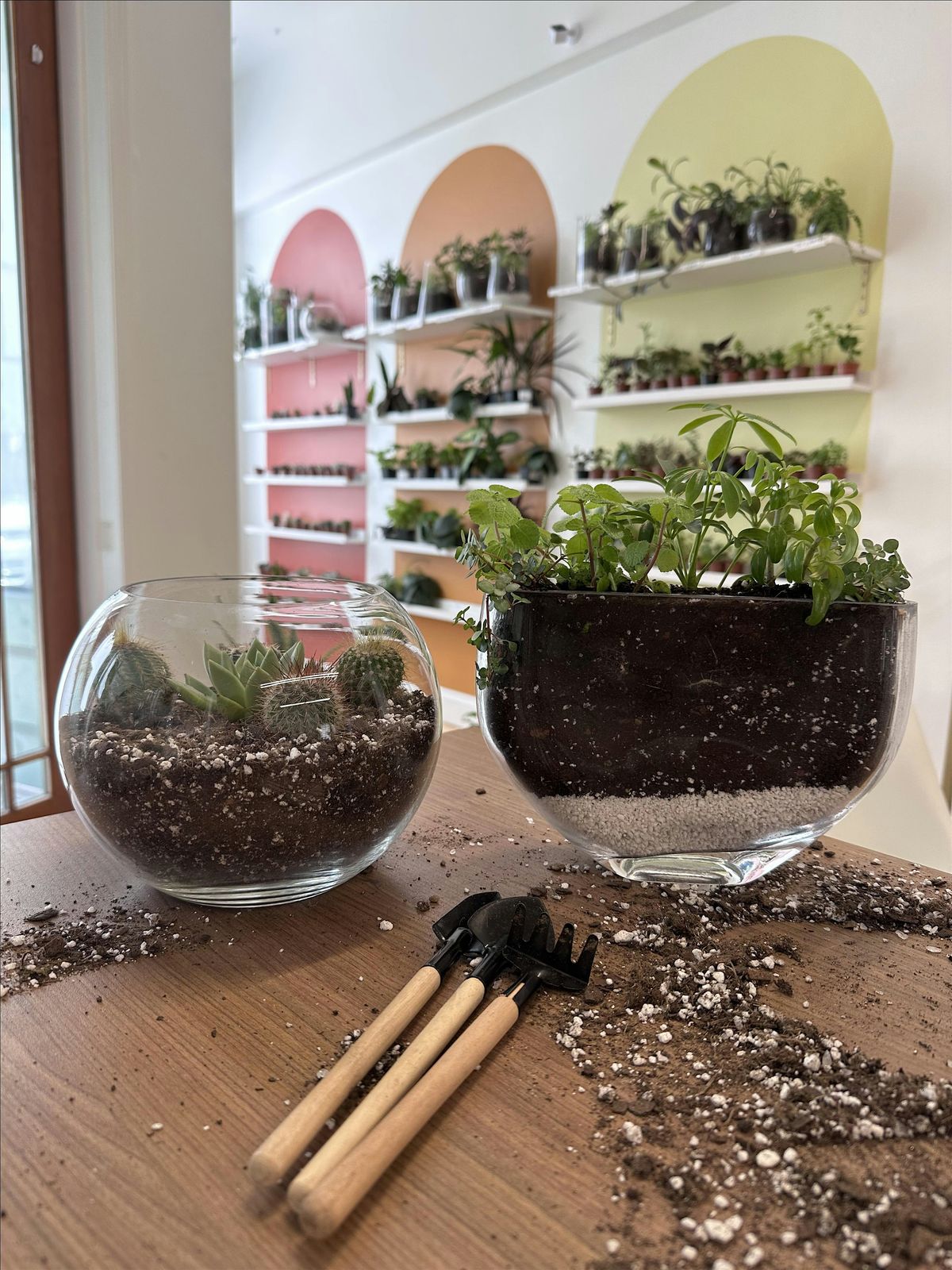 Terrarium Building at Sanctum Handmade | Event in Asbury Park | AllEvents