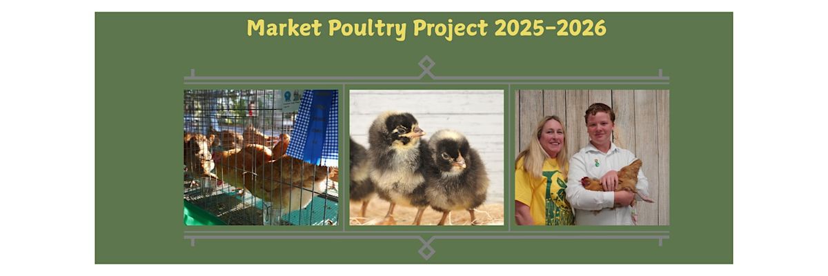 2025-2026 Brevard County  4-H  Market Poultry Project, 22 August | Event in Cocoa | AllEvents
