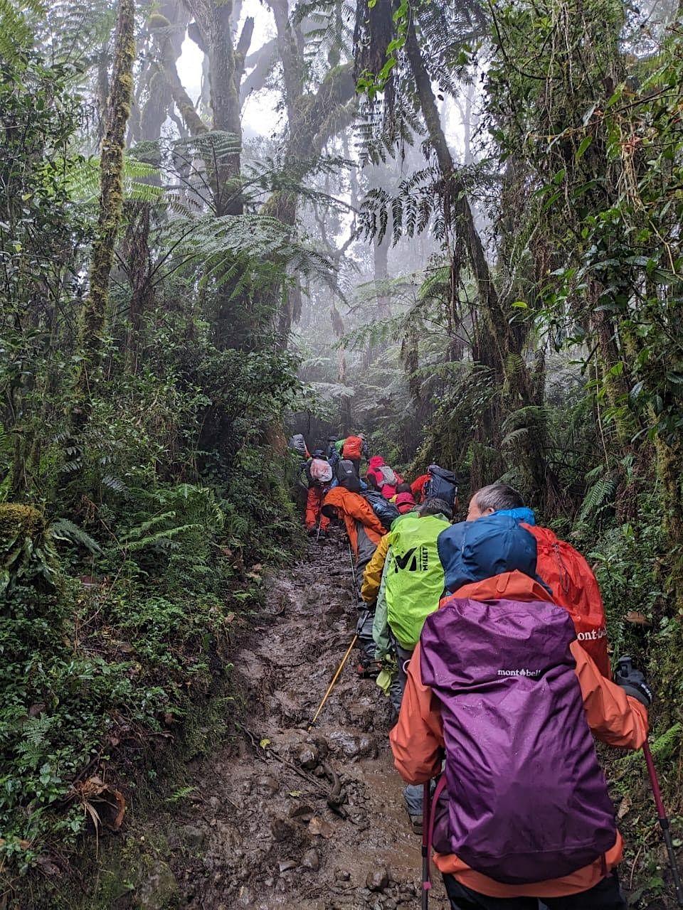 Whispers of Mandara: A Day Trip to Nature’s Hidden Harmony in kilimanjaro, 2 December | Event in Moshi | AllEvents