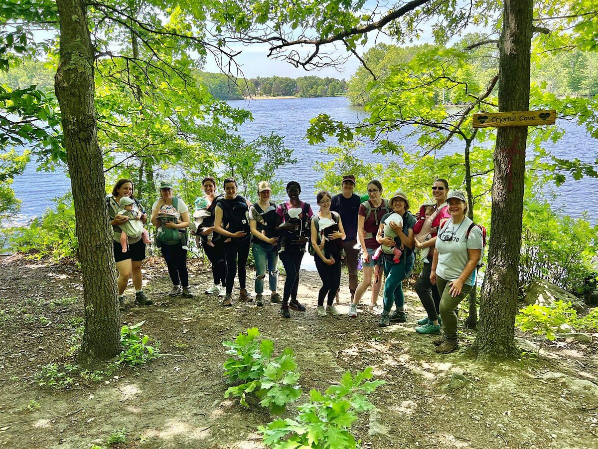Babes in the Woods Hike, 27 May | Event in Winchester | AllEvents