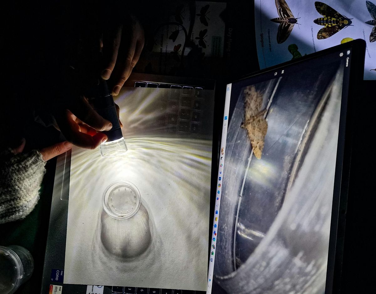 Myths, Moths, & Moonlight at Winton Recreation Ground, 10 October | Event in Bournemouth | AllEvents