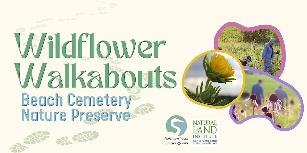 2025 Wildflower Walkabout - Beach Cemetery Prairie Nature Preserve, 27 May | Event in Davis Junction | AllEvents