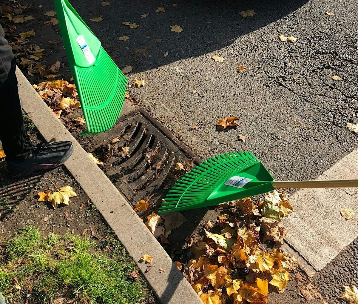 Adopt a Catch Basin: Jim Deva Plaza Leaf Clearing | Event in Vancouver | AllEvents