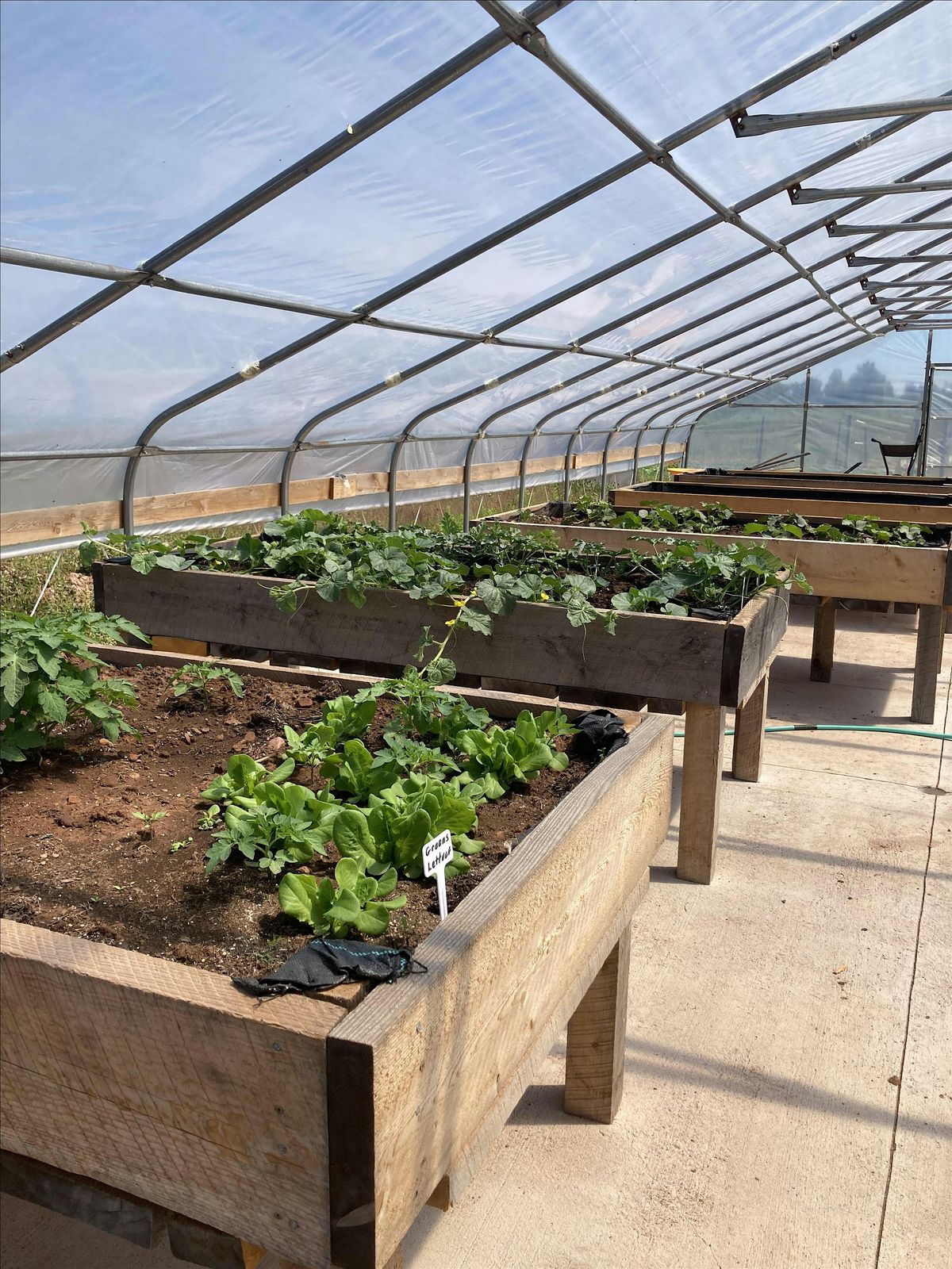 Basics of Growing in Raised Garden Beds, 8 August | Event in River John | AllEvents