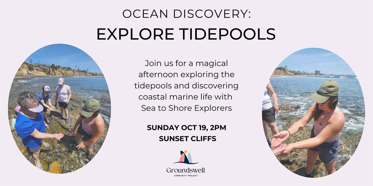 Ocean Discovery: Explore the Tidepools, 19 October | Event in San Diego | AllEvents