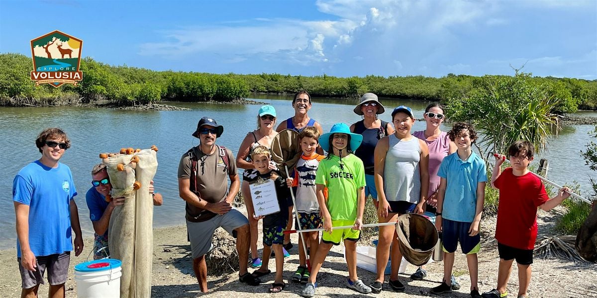 Estuary Dip-netting Adventure, 19 June | Event in New Smyrna Beach | AllEvents
