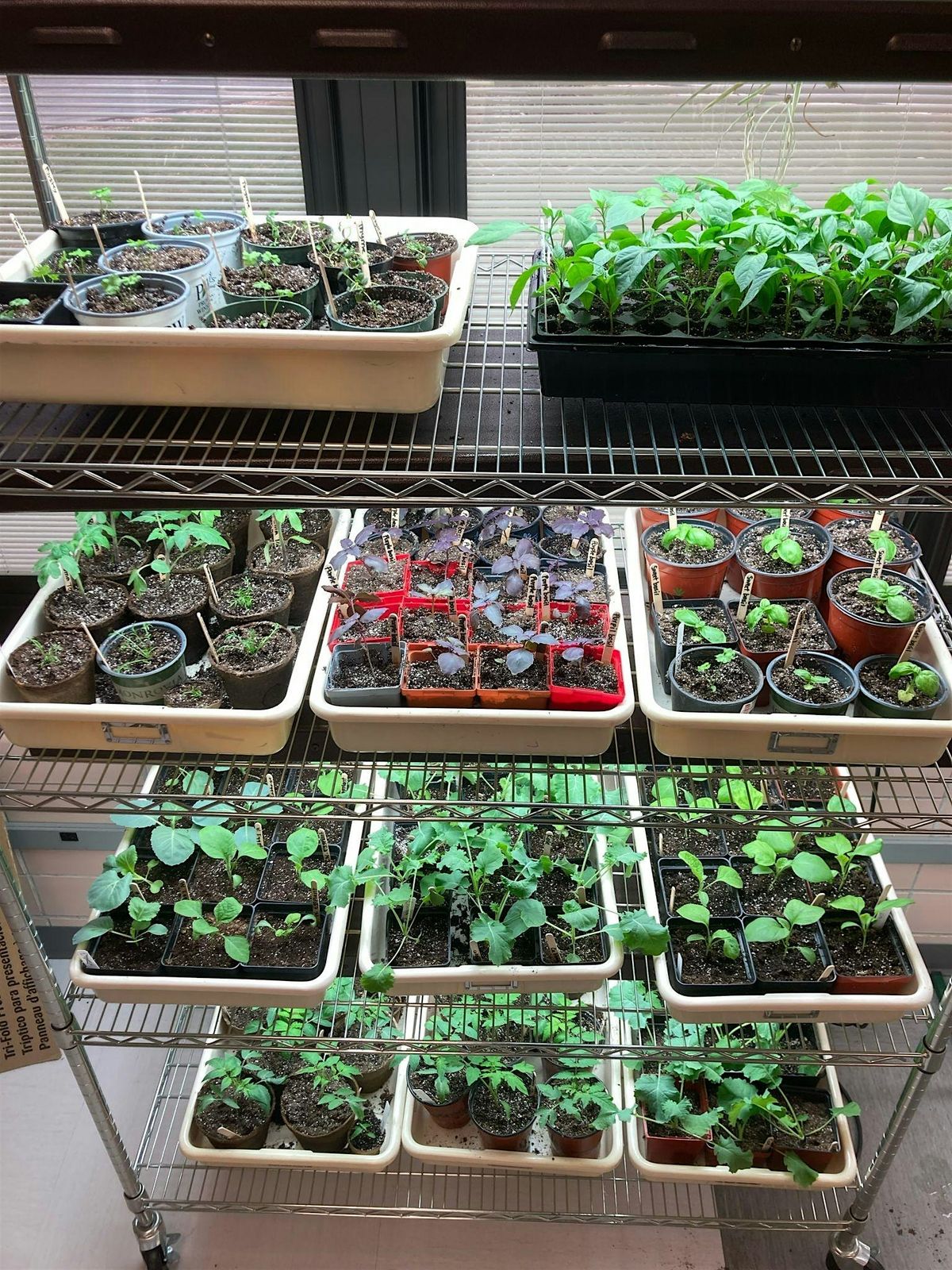 From Soil to Soul: Gardening for Health & Sustainability, 26 June | Event in Gateshead | AllEvents
