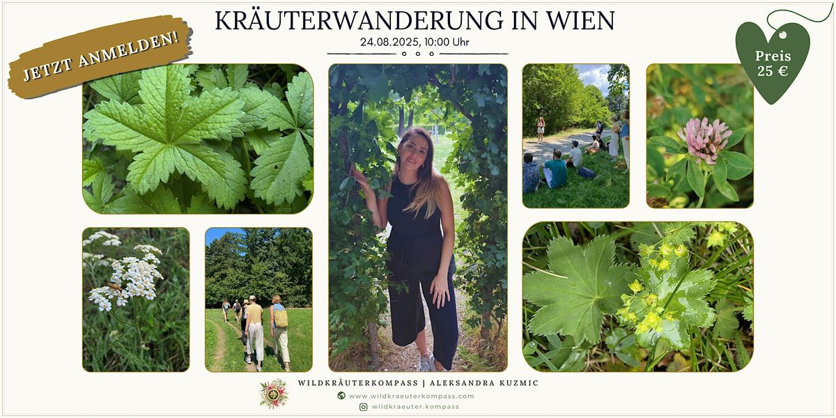 Kräuterwanderung in Wien – Was wächst im Spätsommer?, 24 August | Event in Wien | AllEvents