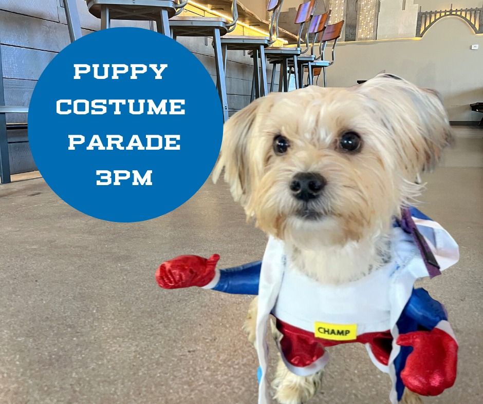 Halloween Puppy Costume Parade, Orange Hat Brewing, Louisville, October