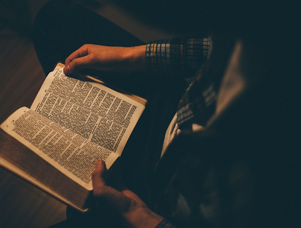 Night Library: A Summer Evening of Books & Community | Event in Aurora | AllEvents