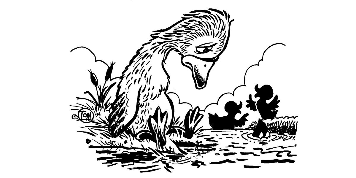 The Ugly Duckling, 4 October | Event in Calgary | AllEvents
