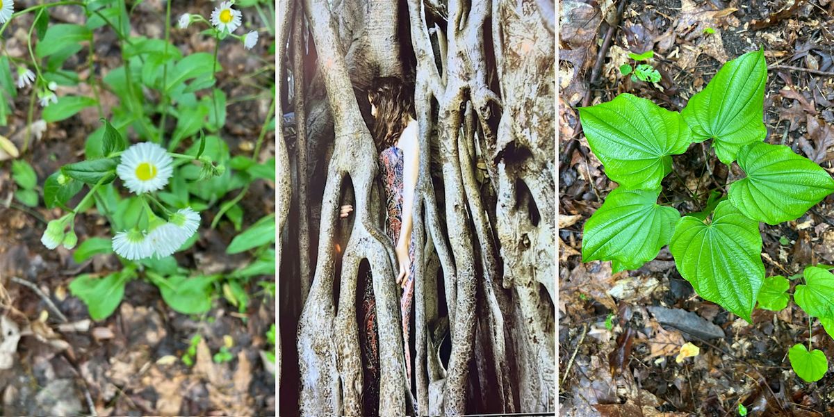 Wild Earth Gathering Sunday, May 18th, 3 PM, Carderock,, 18 May | Event in Potomac | AllEvents