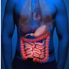 Colorectal Cancer Health and Wellbeing Event 2026, 9 July | Event in Stockport | AllEvents