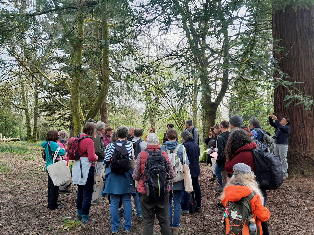 Forest Farm Woodland Trust Ancient Tree Inventory Mapping, 13 August | Event in Cardiff | AllEvents