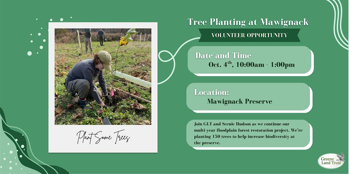 Volunteer: Tree Planting at Mawignack, 4 October | Event in Catskill | AllEvents