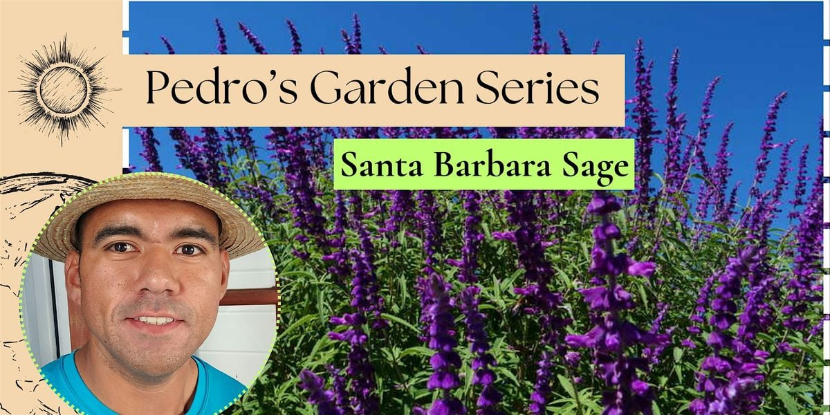 Garden with Pedro: Santa Barbara Sage | Event in Alameda | AllEvents