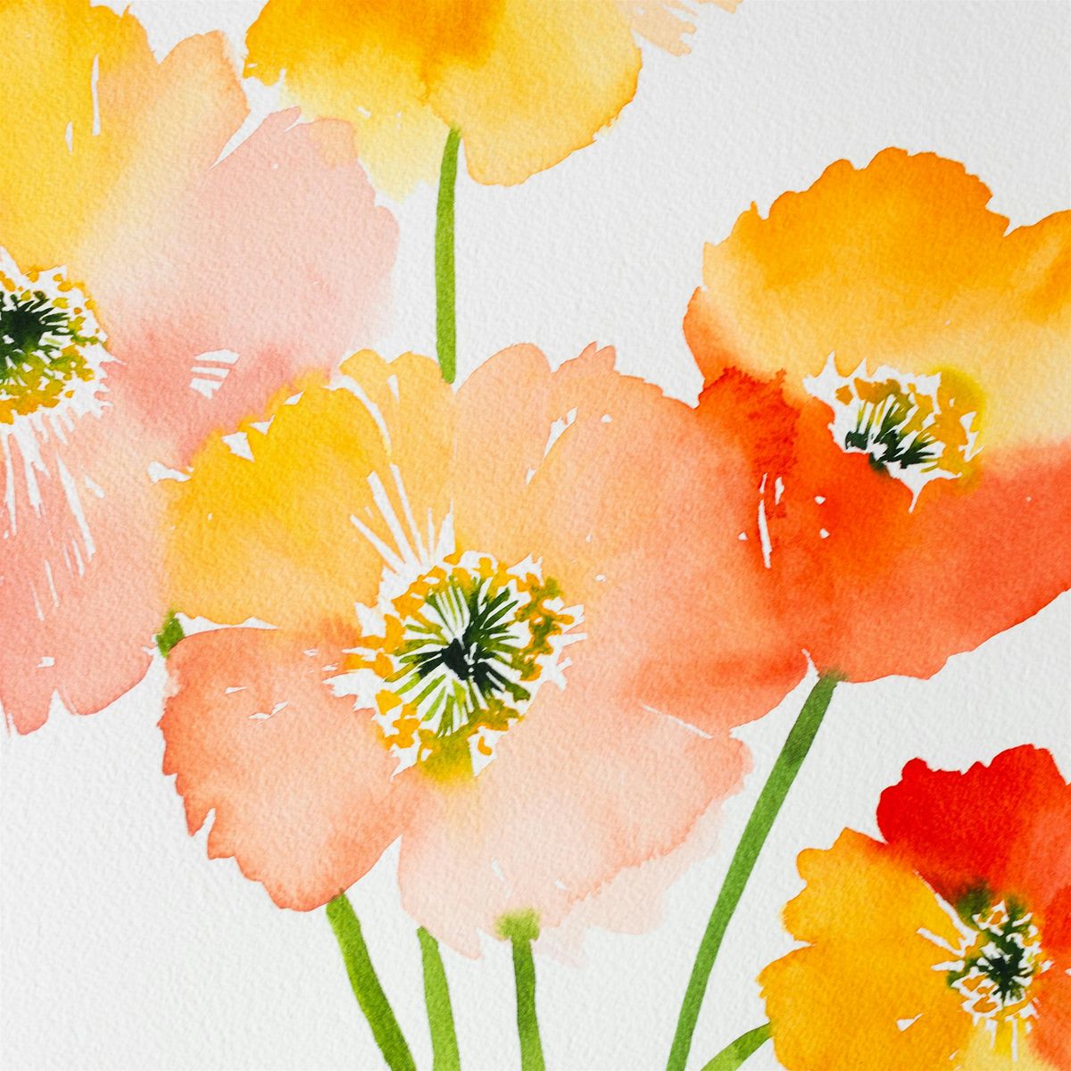 Workshop | Playful Poppies in Watercolor, 28 June | Event in Delray Beach | AllEvents