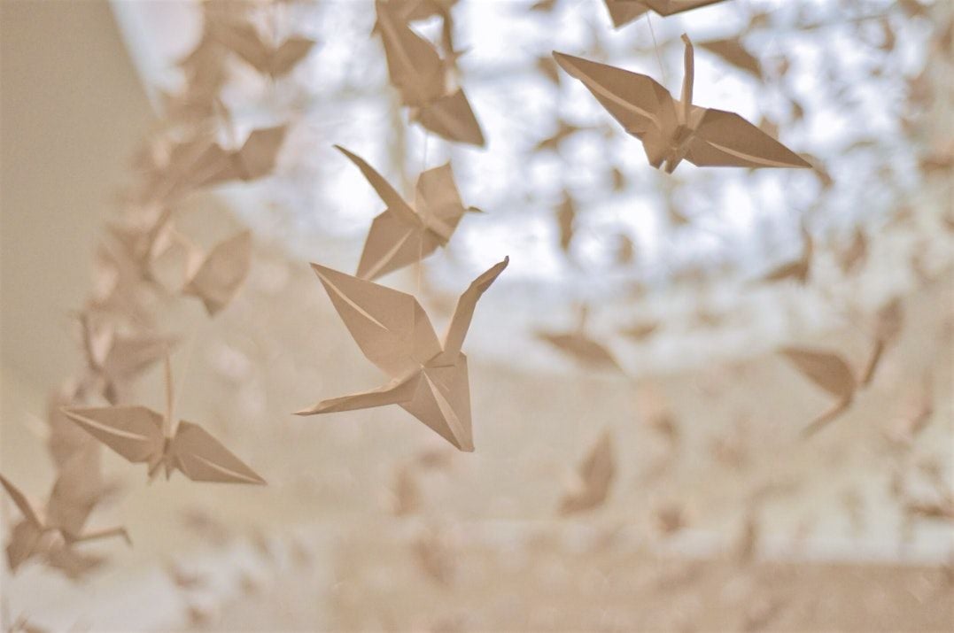 Coffee & Origami, 18 August | Event in Reston | AllEvents