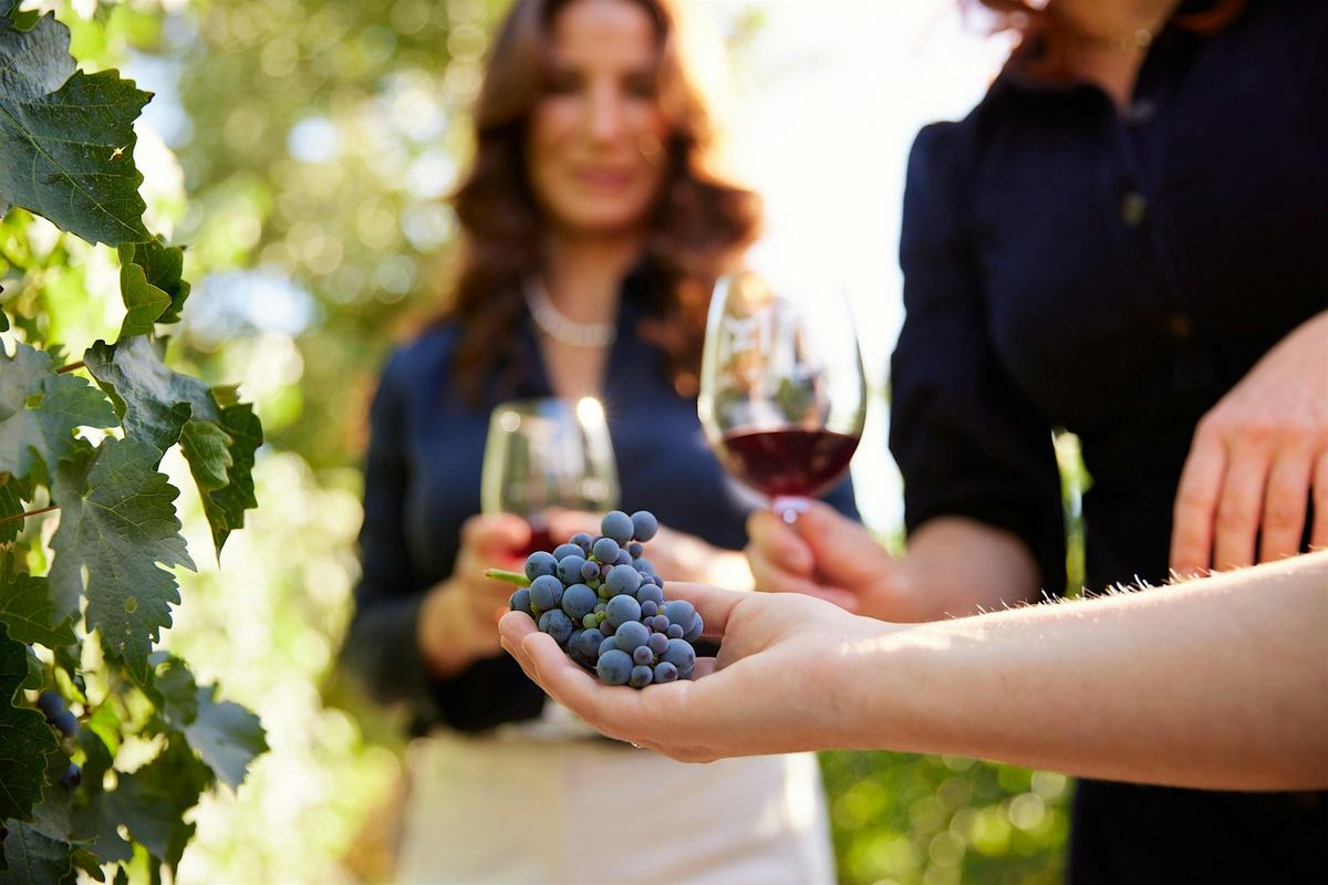 Mizel Estate Wines - Wine Tasting in the Vineyard, 24 May | Event in Thousand Oaks | AllEvents