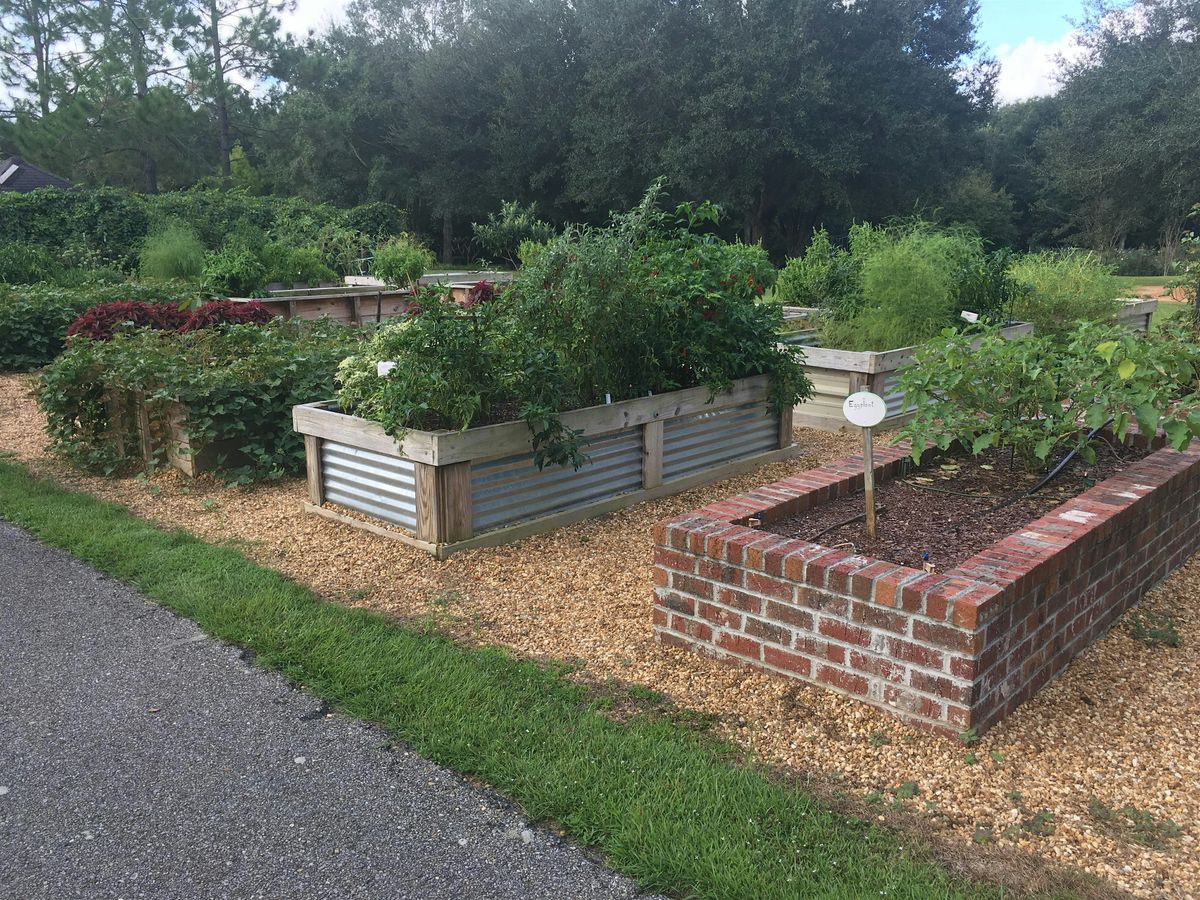 8-18-2025  How to Build a Raised Bed Garden, 18 August | Event in Holiday | AllEvents