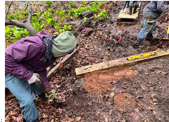 GCC:  Loosestrife Swamp Check Steps | Event in Staten Island | AllEvents