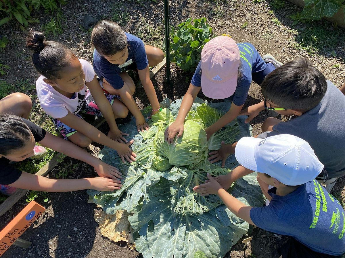 The Edible Classroom - Care, Grow, & Share, 20 June | Event in Lancaster | AllEvents