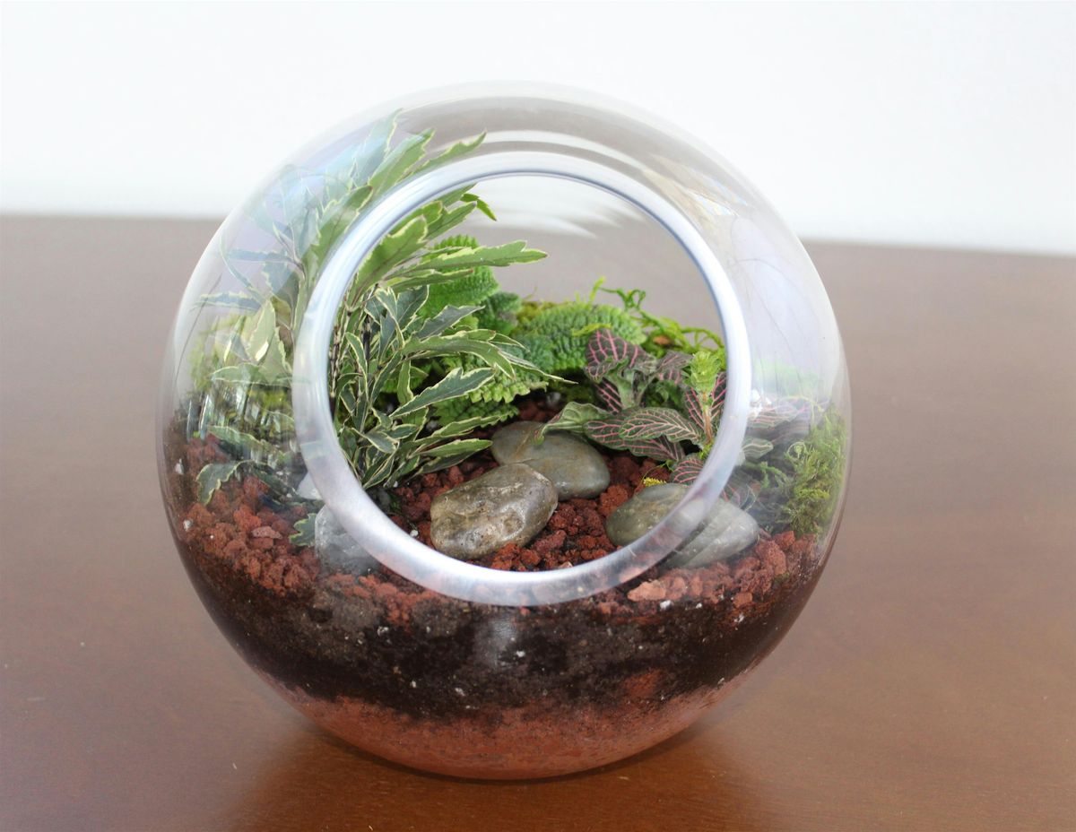 Terrarium Workshop: Build Your Own Mini Garden, 4 October | Event in Denver | AllEvents
