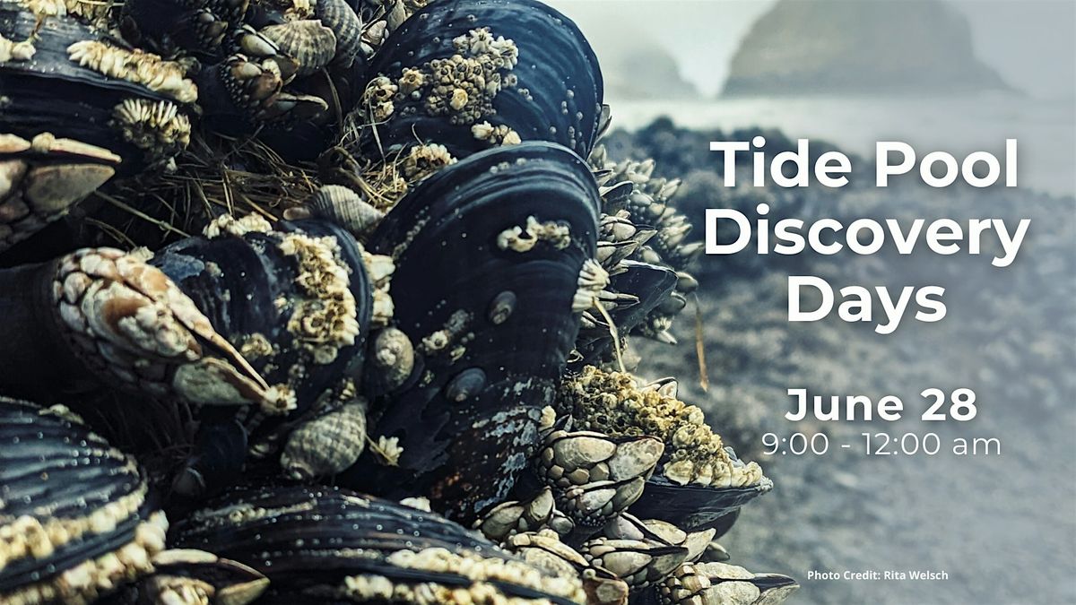 Tidepool Discovery Days (June 28)*, 28 June | Event in Tillamook | AllEvents