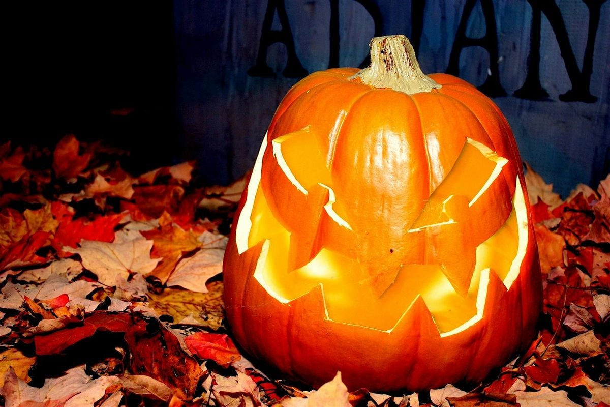 Haunt and Howl @ Bruce's Mill Conservation Park, 24 October | Event in Whitchurch-Stouffville | AllEvents