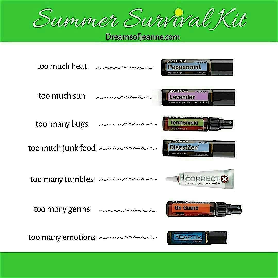SUMMER  SURVIVAL KIT - All Natural & Easy to Use, 14 June | Event in Clintonville | AllEvents