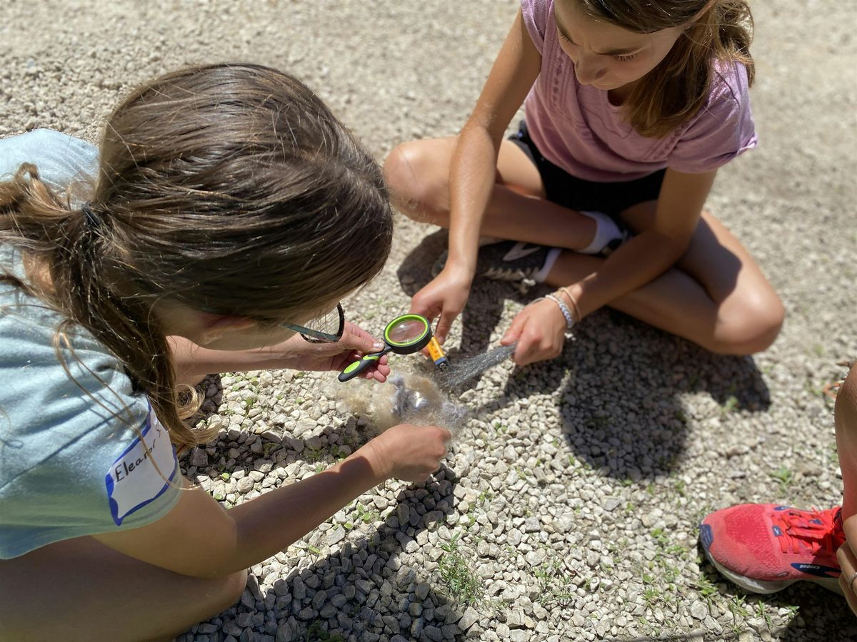 Wilderness Survival Level 2, 17 July | Event in Neosho | AllEvents