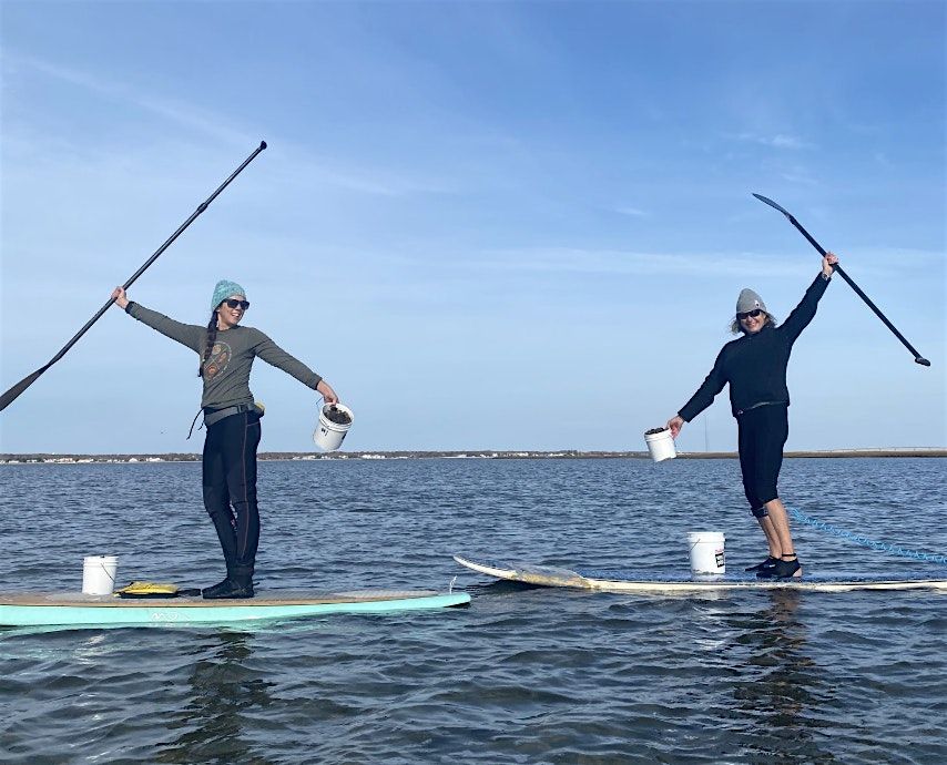Stewardship Session: Paddle & Plant, 14 July | Event in Hampton Bays | AllEvents
