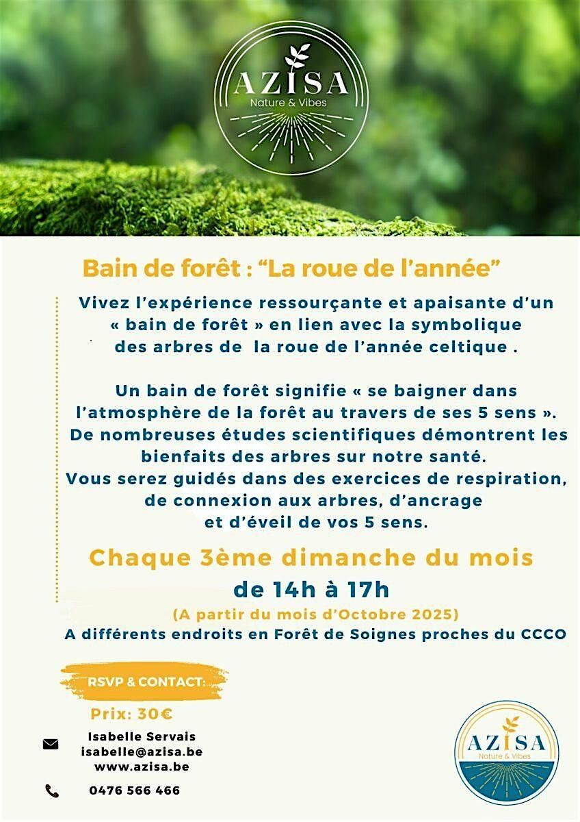 Bain de forêt "La Roue de l'année", 19 October | Event in Auderghem | AllEvents