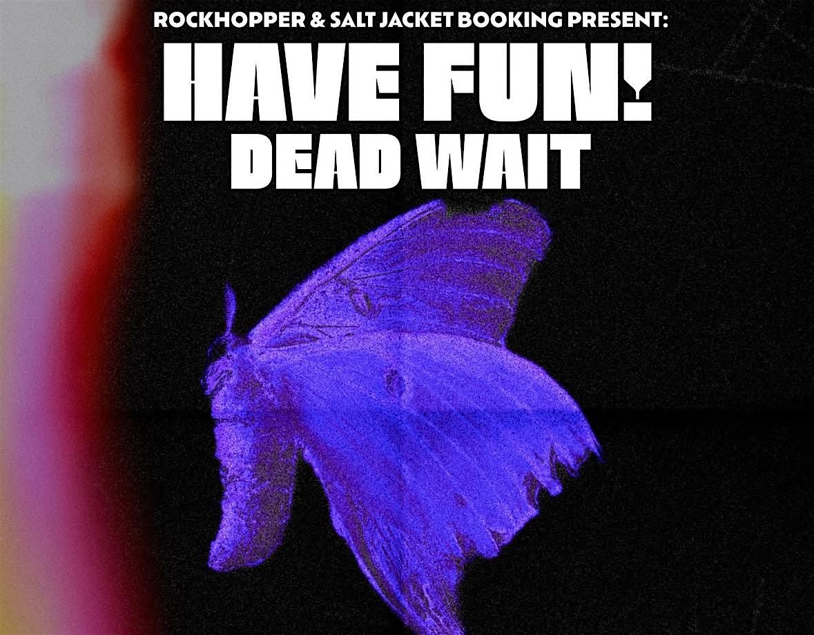 Rockhopper and Salt Jacket Present: Have Fun, 23 August | Event in Milford | AllEvents