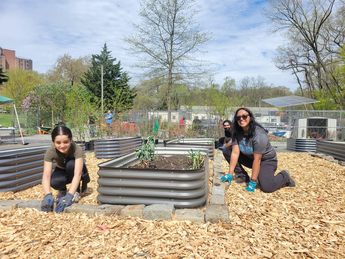 Tune-Up Tuesdays: Garden Volunteer Days | Event in The Bronx | AllEvents