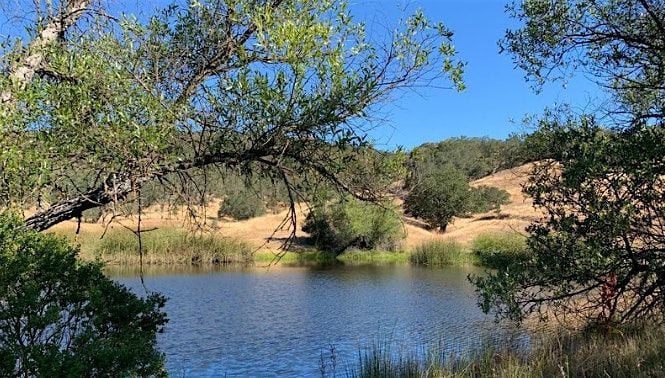 Birding at Little Uvas, 18 October | Event in Morgan Hill | AllEvents
