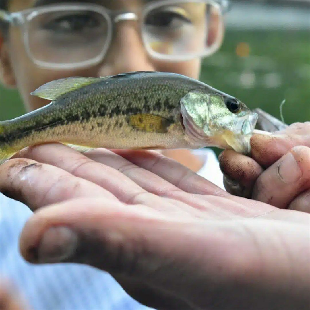 Learn to Fish / Aprenda a Pescar - Gratis, 27 May | Event in Philadelphia | AllEvents