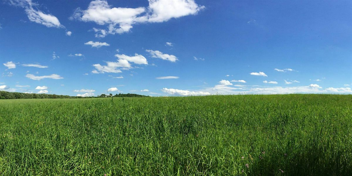 Summer Saunters: Macricostas Preserve, 20 August | Event in Washington | AllEvents