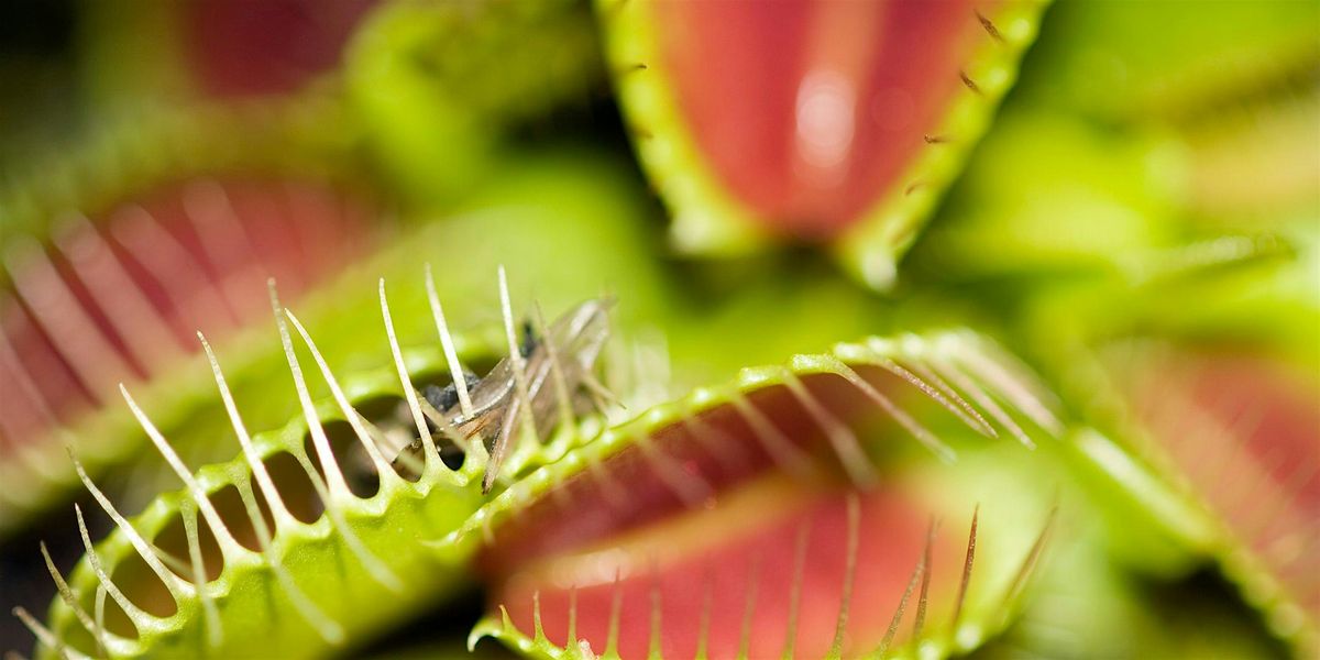 Kids Class | Plants with Super Powers, 25 June | Event in Atlanta, Charlotte | AllEvents