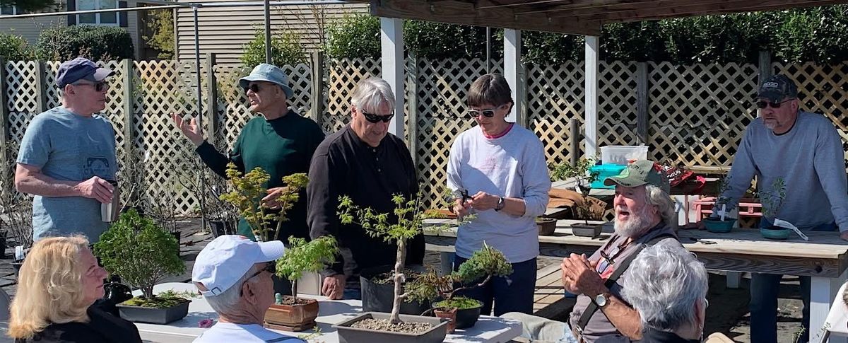 Bonsai Club, 3 September | Event in Frankford | AllEvents