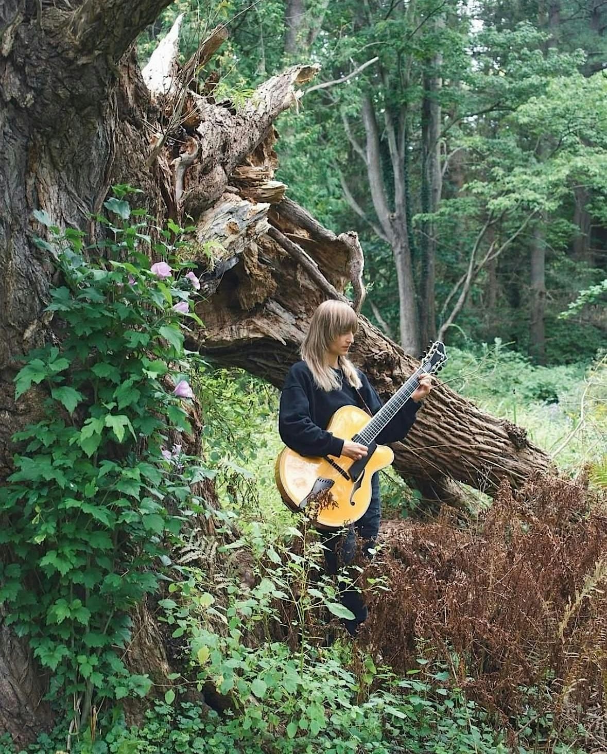 LIVE on Danby: Summer Music Series at Firelight Camps & La Tourelle | Event in Ithaca | AllEvents