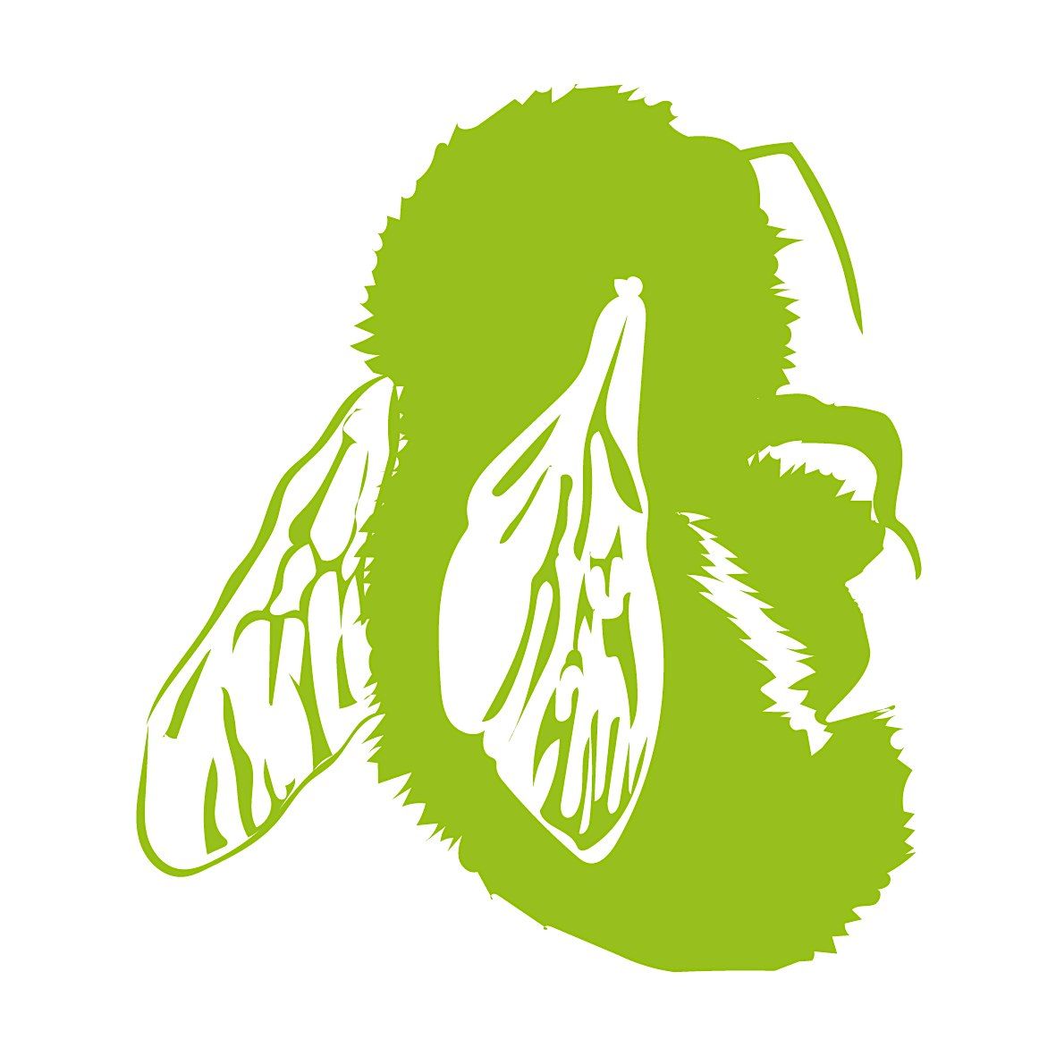 Bees and Beyond: Discover the Wonders of Pollinators, 31 August | Event in Cholsey | AllEvents
